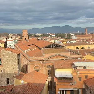 Mediceo 42 Pisa